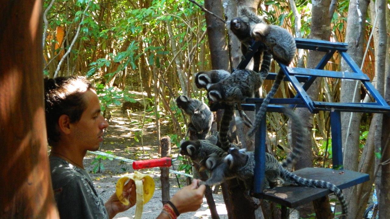 Hostal Lagarto Na Banana Praia de Pipa